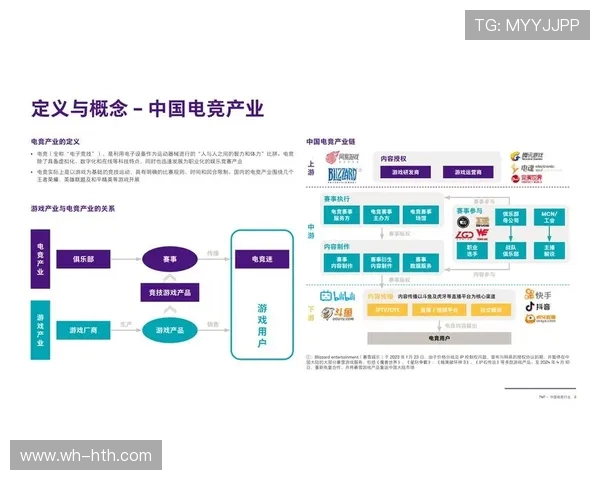 全球电子竞技产业崛起推动数字娱乐与青年文化深度融合发展