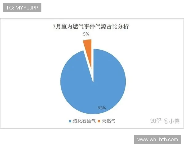 数据分析:液化天然气市场表现及其影响因素探讨 数据分析:液化天然气市场表现及其影响因素探讨
