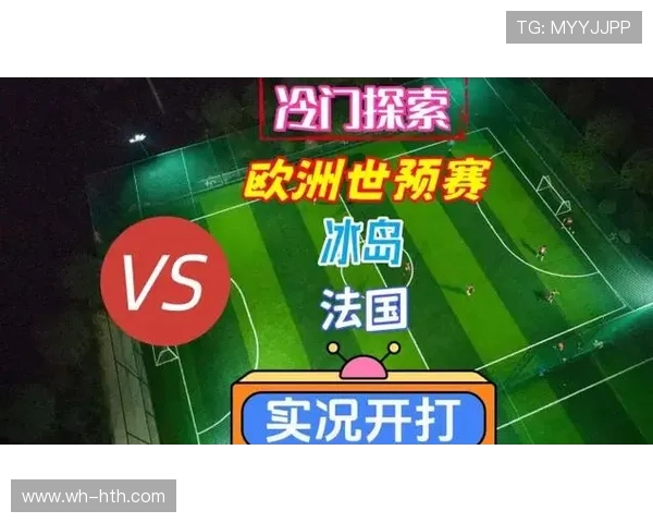 冰岛与法国足球赛结果揭晓双方表现引发热议